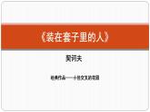 人教版（新课标）高中语文必修五《装在套子里的人》公开课课件