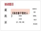 人教版（新课标）高中语文必修五《装在套子里的人》公开课课件