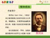 人教版（新课标）高中语文必修五《装在套子里的人》优质课件