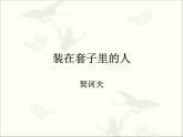 人教版（新课标）高中语文必修五《装在套子里的人》参考课件