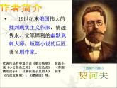 人教版（新课标）高中语文必修五《装在套子里的人》参考课件