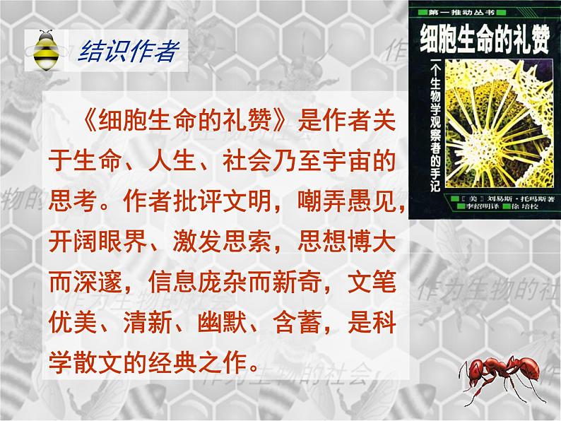 高中  语文  人教版 (新课标)  必修五《作为生物的社会》参考课件第3页