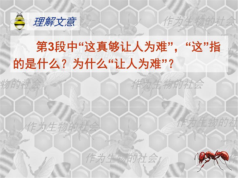 高中  语文  人教版 (新课标)  必修五《作为生物的社会》参考课件第6页