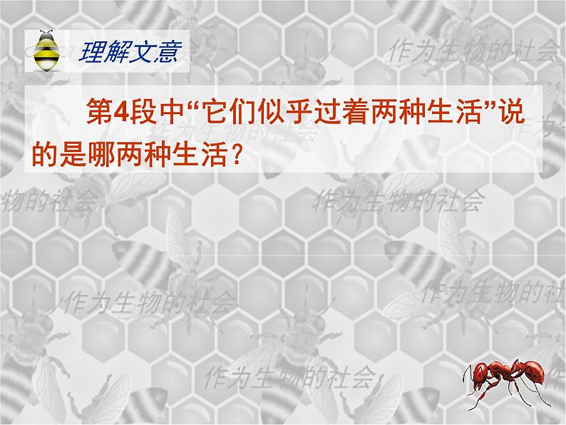 高中  语文  人教版 (新课标)  必修五《作为生物的社会》参考课件第7页