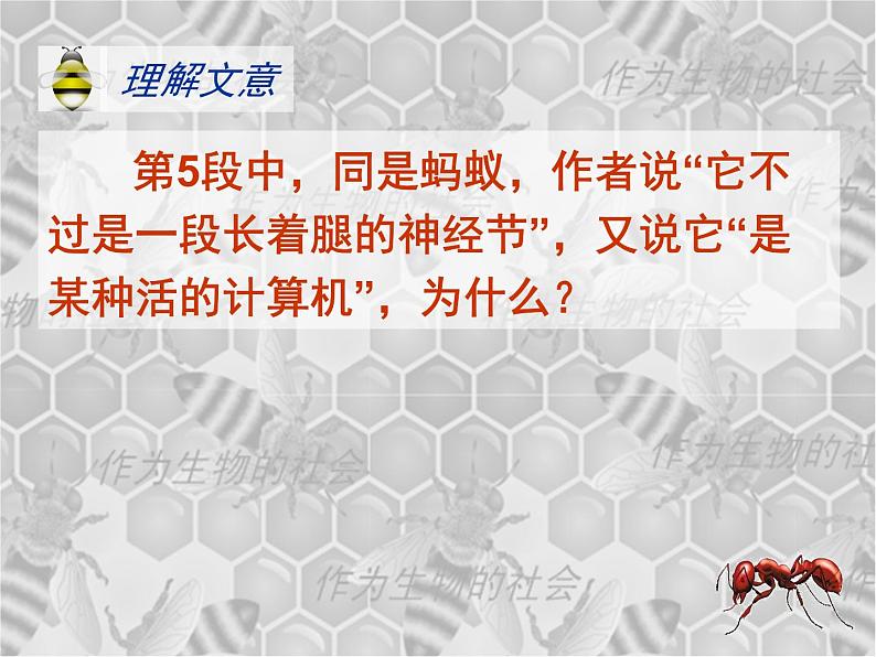 高中  语文  人教版 (新课标)  必修五《作为生物的社会》参考课件第8页