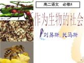 高中  语文  人教版 (新课标)  必修五《作为生物的社会》参考课件