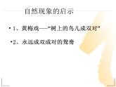 高中  语文  人教版 (新课标)  必修五《作为生物的社会》参考课件