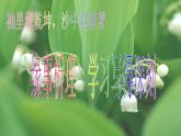 高中  语文  人教版 (新课标)  必修五《缘事析理__学习写得深刻》参考课件