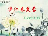 人教版 (新课标)高中语文 必修二第二单元第7课 涉江采芙蓉名师课件