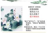 人教版 (新课标)高中语文 必修二第二单元第7课《涉江采芙蓉》精品课件