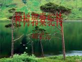 高中语文 人教版 (新课标) 选修《种树郭橐驼传》名校课件