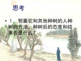 高中语文 人教版 (新课标) 选修《种树郭橐驼传》名校课件