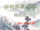 高中语文 人教版 (新课标) 选修《种树郭橐驼传》名校课件