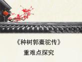 高中语文 人教版 (新课标) 选修《种树郭橐驼传》重难点探究  PPT