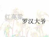 高中语文 人教版 (新课标) 选修《中国小说欣赏》  第九单元 烽火岁月《红高梁——罗汉大爷》名师课件
