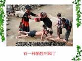 高中语文 人教版 (新课标) 选修《文章写作与修改》  第三章 认识的深化与成篇《捕捉“动情点”》名师课件