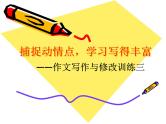 高中语文 人教版 (新课标) 选修《文章写作与修改》  第三章 认识的深化与成篇《捕捉“动情点”》名师课件