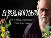高中语文人教统编版选择性必修下册4.1.1《自然选择的证明》精品课件