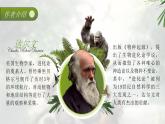 高中语文人教统编版选择性必修下册4.1.1《自然选择的证明》精品课件