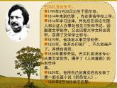 人教版 (新课标)高中语文 必修四《名著导读〈高老头〉》名师课件