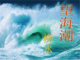 人教版 (新课标)高中语文 必修四第二单元第四课《望海潮》公开课一等奖课件