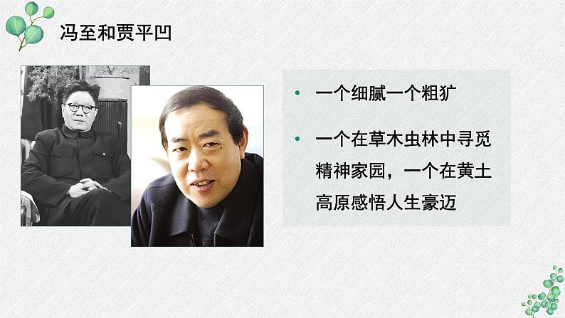 人教统编版高中语文 选择性必修下册《第二单元时代镜像》名师单元教学课件第8页