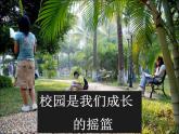 高中语文人教统编版选择性必修下册  第二单元《再别康桥》公开课课件