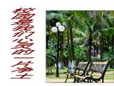 高中语文人教统编版选择性必修下册  第二单元《再别康桥》公开课课件