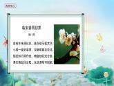 高中语文 人教统编版选择性必修下册古诗词诵读 《 临安春雨初霁》精品课件