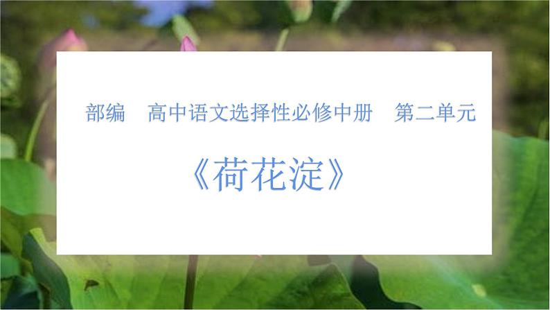 人教统编版高中语文 选择性必修中册第二单元 8《荷花淀》课件第1页