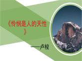人教统编版高中语文选择性必修 中册第一单元 4《怜悯是人的天性》精品课件