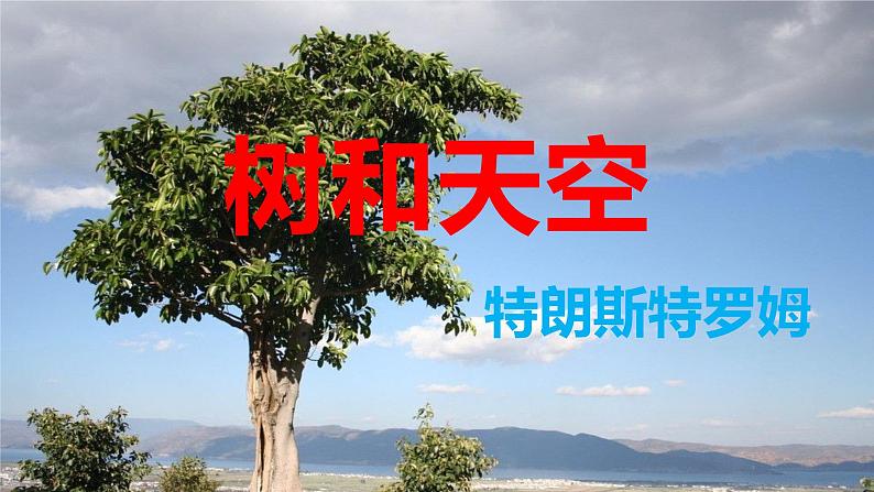 人教统编版高中语文选择性必修 中册 第四单元  13*《树和天空》精品课件第1页