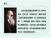 人教统编版高中语文 选择性必修下册《【阅读专题1】复杂与丰富：发现长句之美》教学课件