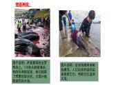 人教统编版高中语文选择性必修中册  第一单元  4*《修辞立其诚》精品课件