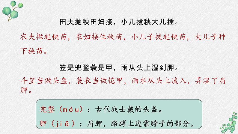 人教统编版高中语文必修上册 第二单元  6*《插秧歌》名师教学课件第5页