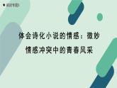 人教统编版高中语文必修上册《【阅读专题5】体会诗化小说的情感：微妙情感冲突中的青春风采》教学课件