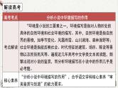 人教统编版高中语文选择性必修中册高考考点聚焦：分析小说中环境描写的作用 课件
