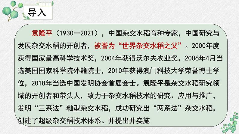 人教统编版高中语文必修 上册2-4*《喜看稻菽千重浪》名师教学课件第6页