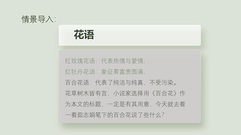 第一单元《百合花》教学课件2024-2025学年统编版高中语文必修上册第1页