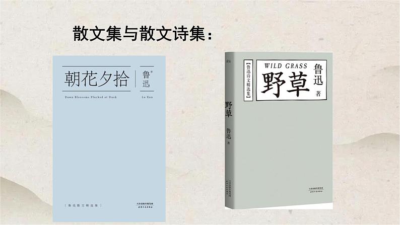 人教统编版高中语文必修 下册 6-12*《祝福》优质课件第6页