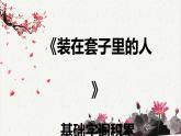 人教统编版高中语文必修 下册 6-13.2*《装在套子里的人》基础字词积累  课件