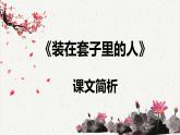 人教统编版高中语文必修 下册 6-13.2*《装在套子里的人》课文简析  课件