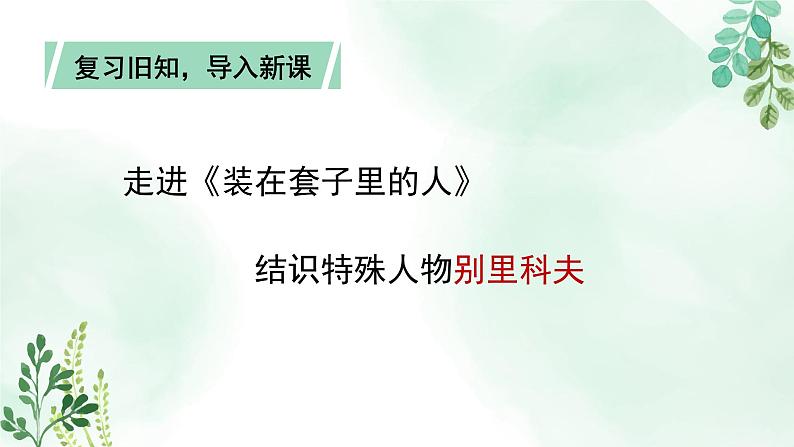 人教统编版高中语文必修 下册 6-13.2*《装在套子里的人》名师课件（第1课时）第8页