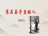 人教统编版高中语文必修 下册 6-13.2*《装在套子里的人》优质课件