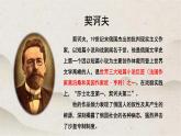 人教统编版高中语文必修 下册 6-13.2*《装在套子里的人》优质课件