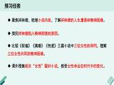 人教统编版高中语文必修 下册【阅读专题1】主题：小说是时代的隐喻  课件
