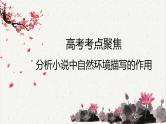 人教统编版高中语文必修下册高考考点聚焦：分析小说中自然环境描写的作用  课件