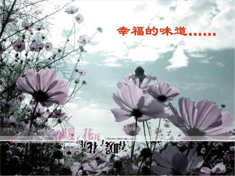 语文版高中  语文必修一2-7*《面朝大海，春暖花开》名师课件1第6页