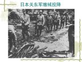 语文版高中  语文必修一 1-2*《落日》参考课件2