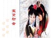 语文版高中  语文必修三 3-11*《宝黛初会》新课讲知课件3